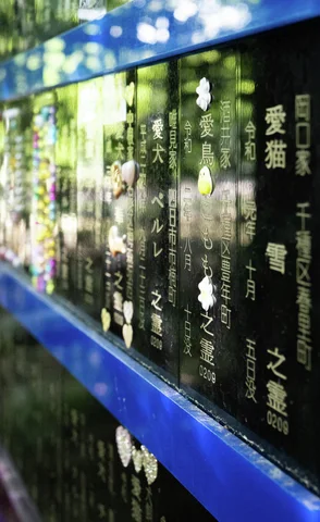 Gold Japanese inscriptions line glossy dark memorial panels bordered by blue trim and reflected trees.