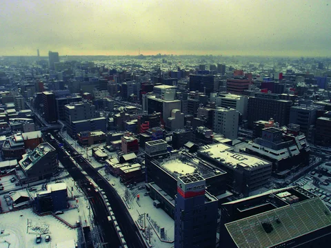 Snow covers city rooftops and open spaces beneath a pale yellow-gray sky and hazy distant horizon.