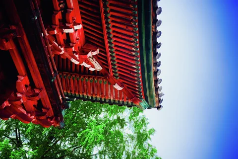 Red and green painted roof brackets project above leafy branches beneath a bright blue sky.