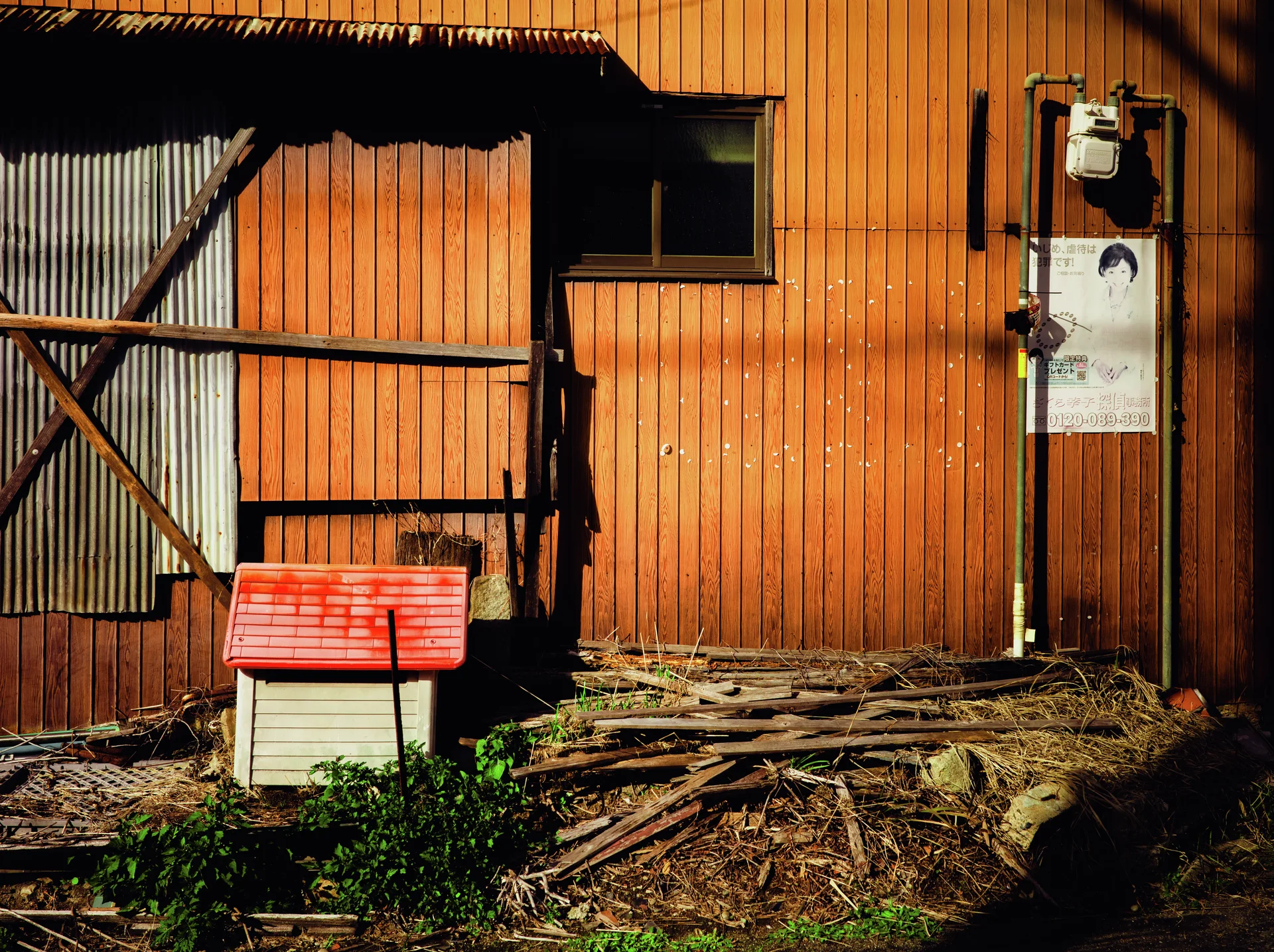 A small red-roofed box stands among discarded wood beside a sunlit orange corrugated wall.