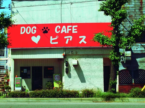 A red Dog Cafe sign with a heart and paw print spans a pale storefront beside a leafy tree.