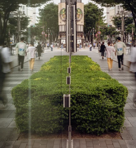 A central hedge and narrow reflective seam divide mirrored sidewalk views with pedestrians and trees.