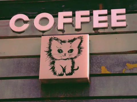 A black kitten illustration sits beneath raised pale COFFEE lettering on weathered horizontal panels.