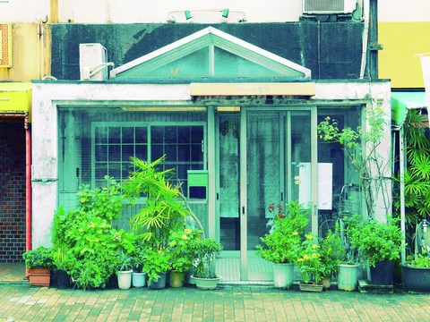 Numerous leafy potted plants crowd the pavement outside a pale storefront with glass doors and a triangular roof detail.