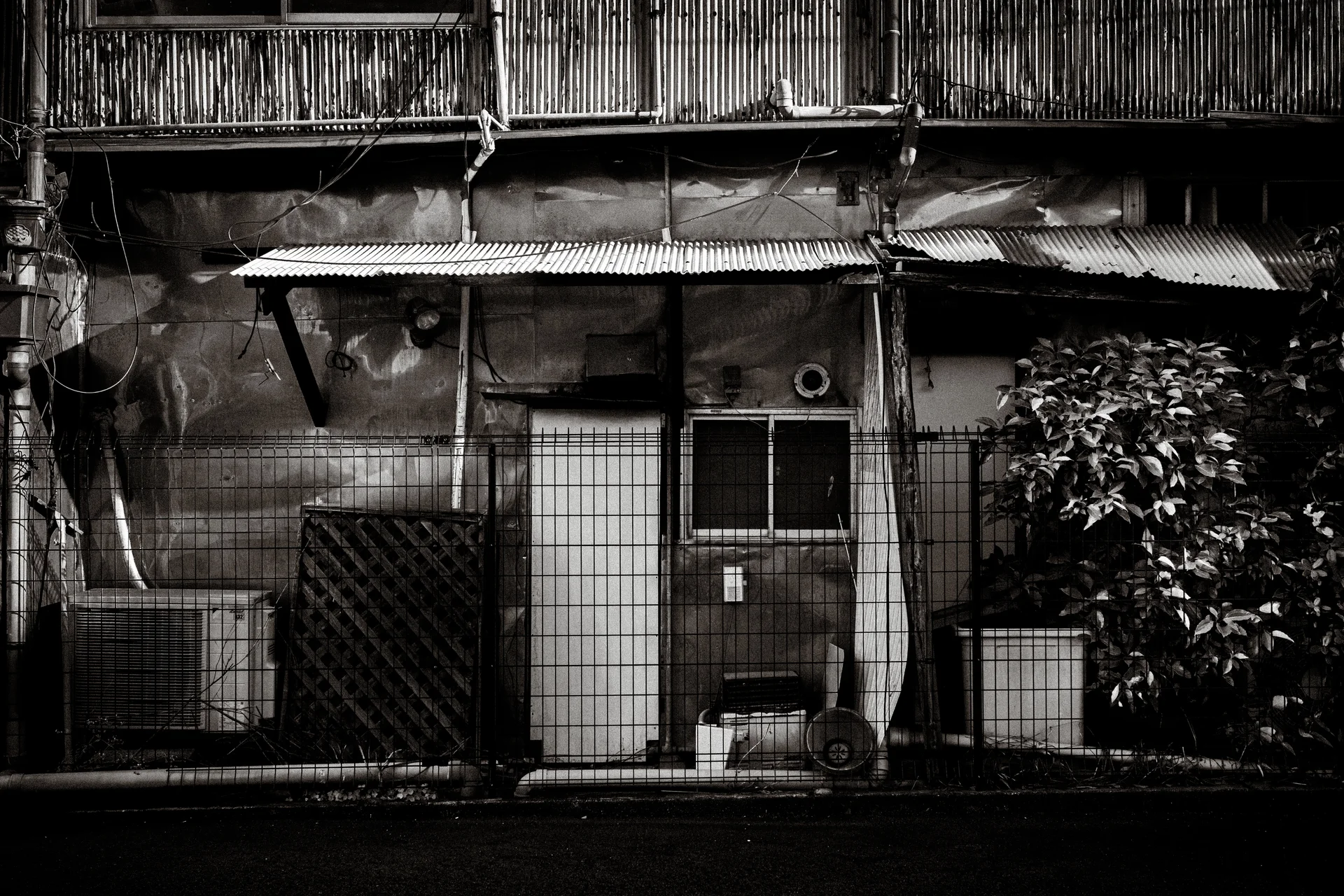 A patched corrugated awning shelters a tiled wall, narrow door and leafy shrub in black and white.