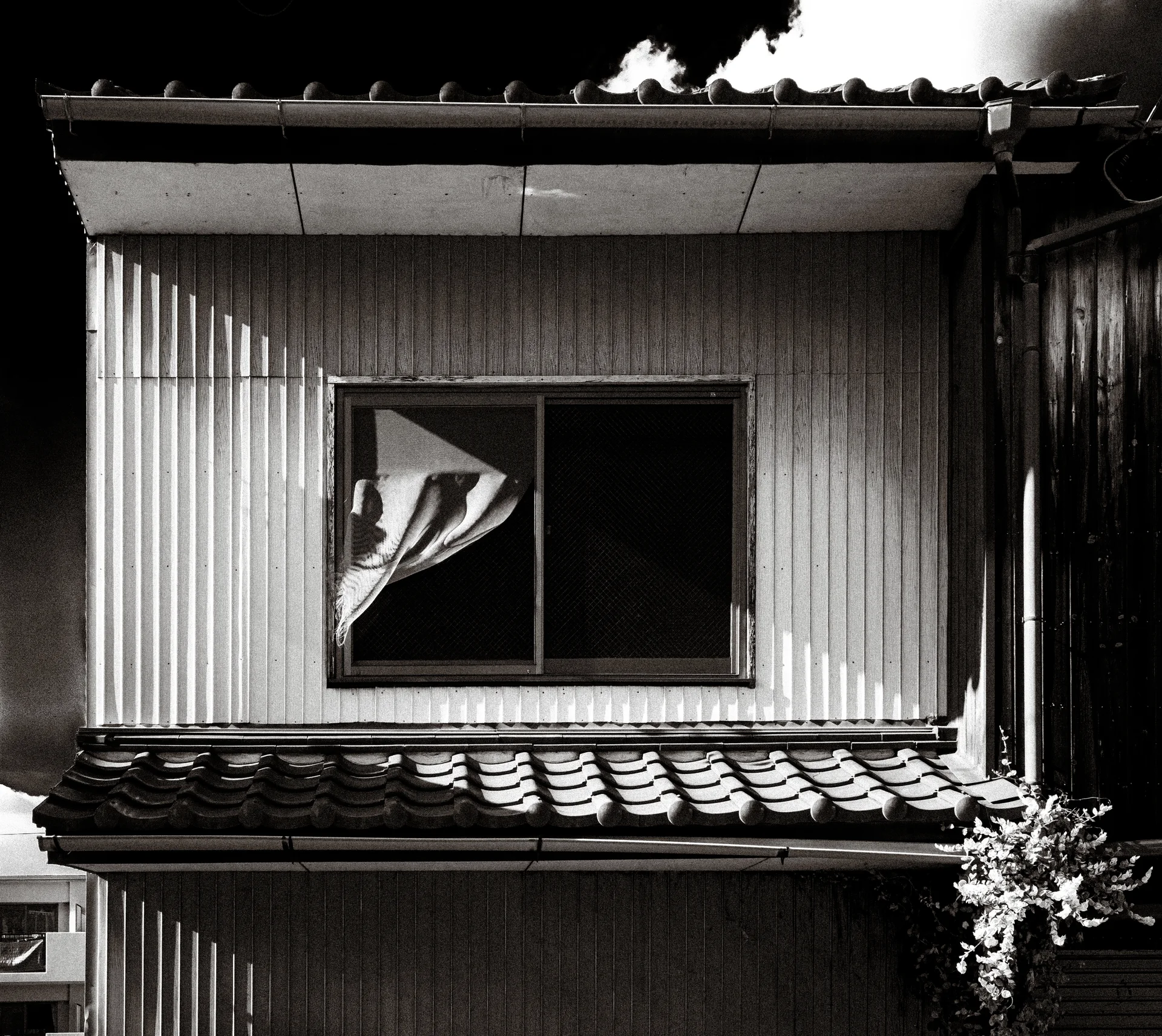 A loose curtain protrudes through a dark window above tiled eaves on corrugated siding in black and white.