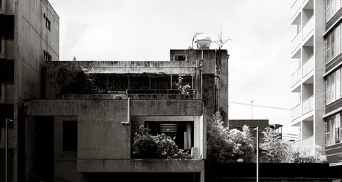 Trees and shrubs grow across terraces of a weathered concrete building beside taller apartments in black and white.