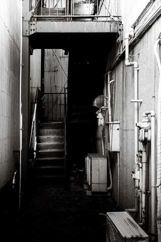 A steep staircase rises through a narrow shaded passage between building walls in black and white.