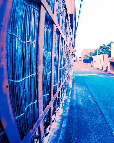Closely spaced vertical strips behind a tall grid frame line a blue-toned building beside a narrow sidewalk.