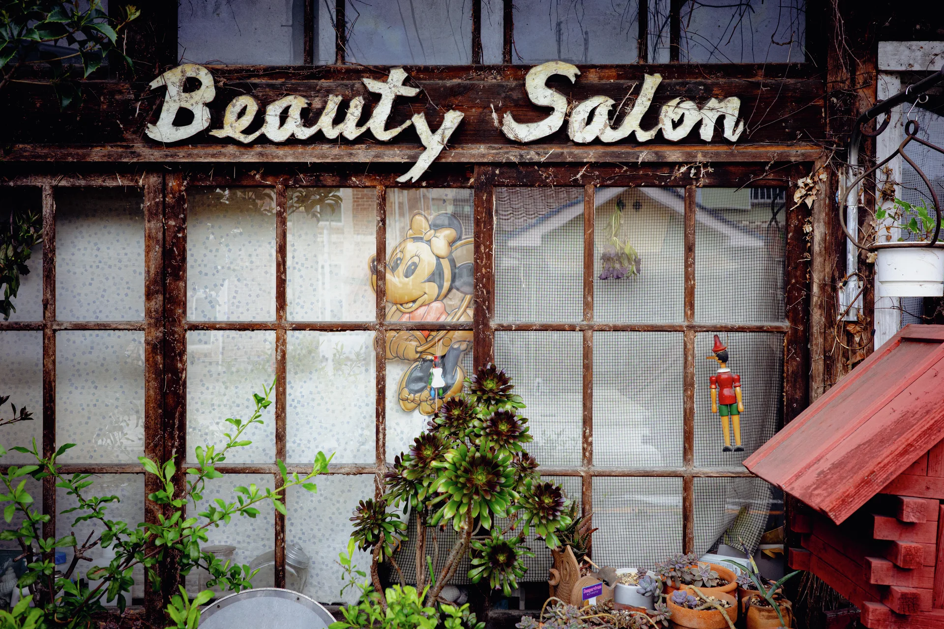 White Beauty Salon script spans weathered wooden window frames above plants and small colorful hanging ornaments.