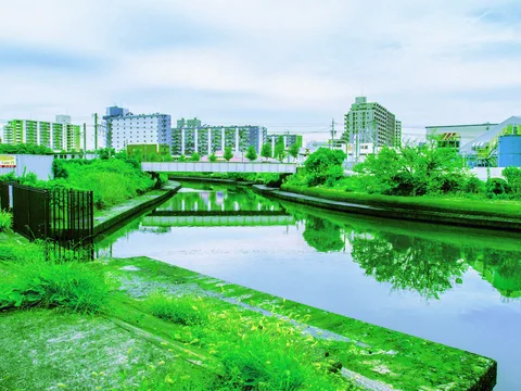 Still canal water reflects green banks and distant buildings beneath a low bridge and pale sky.