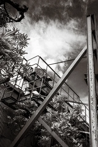 A metal exterior staircase crosses diagonally above dense foliage beneath clouds in a black and white view.