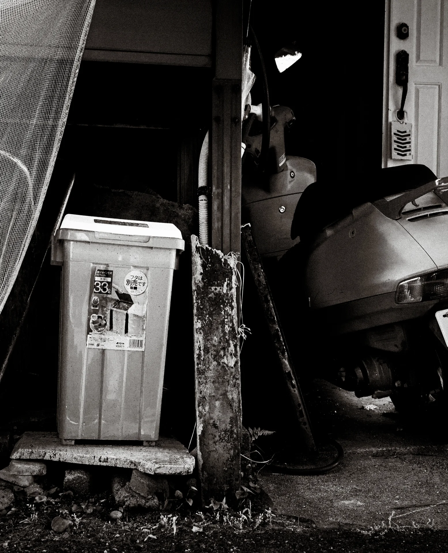 A tall plastic bin stands beside a tree stump and partially visible scooter in black and white.