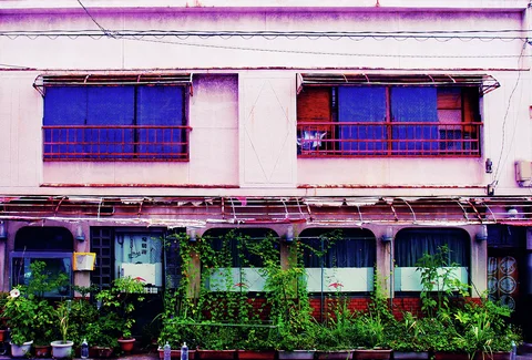 Potted plants cover a pale frontage below two red-railed upper windows and exposed horizontal cables.