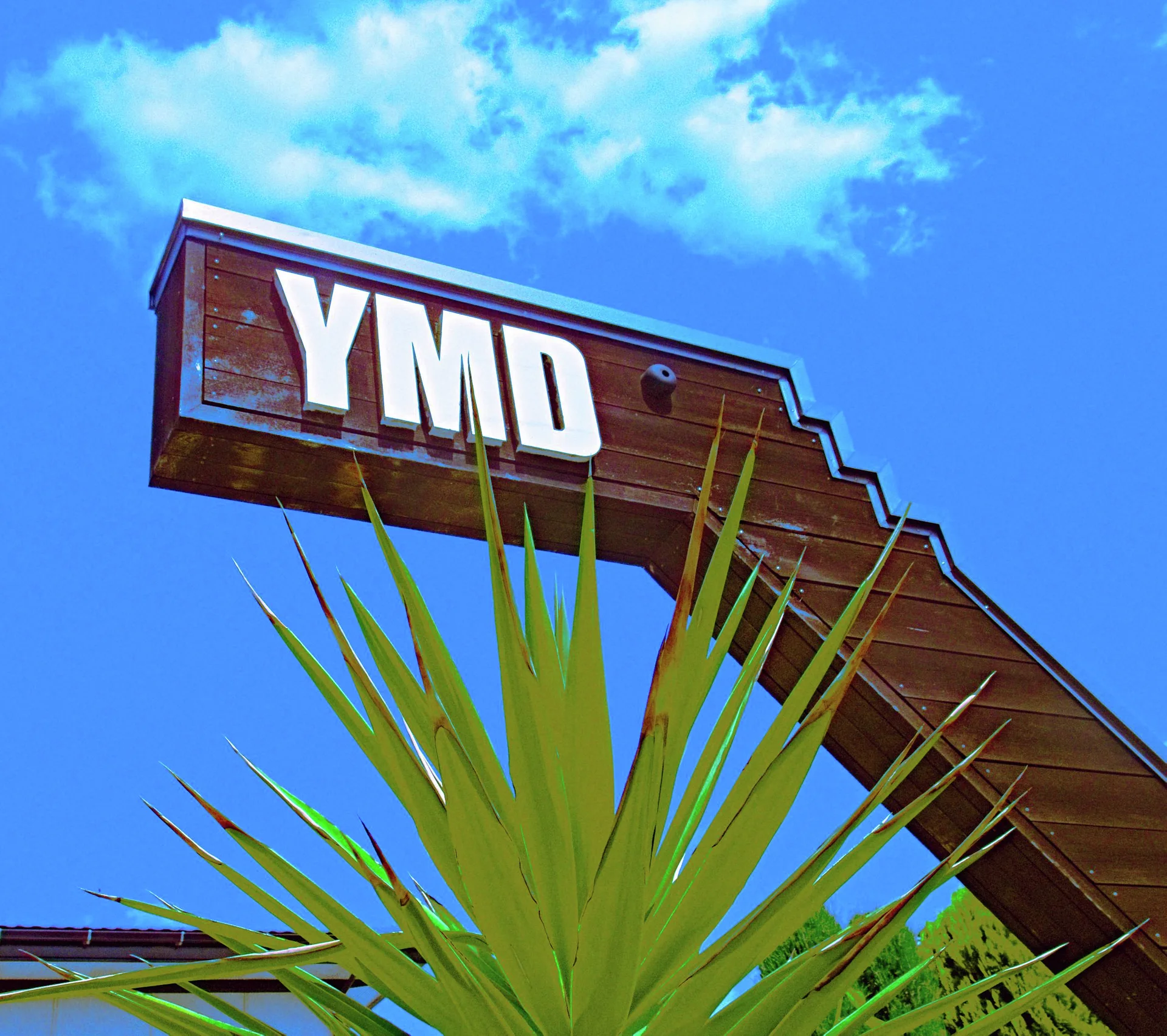 White block letters mark a projecting wooden roof edge above spiky green leaves against blue sky.