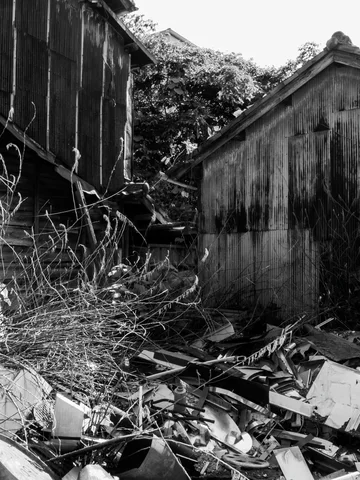 Broken wood and debris fill an overgrown space between decaying buildings in a black and white view.