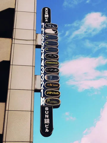 A long vertical directory of oval business signs hangs beside a building against blue sky.