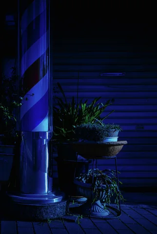 Potted plants and a large metal container stand beside closed shutters under deep blue light.