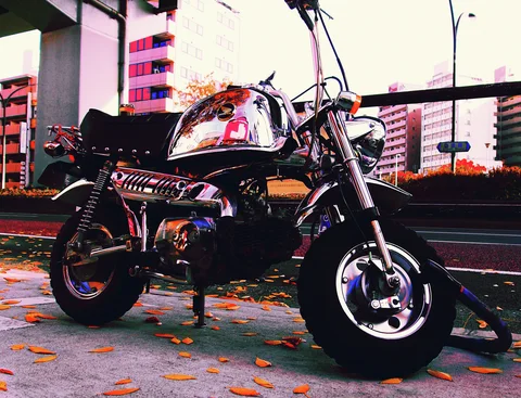 A chrome-trimmed compact motorcycle stands on pavement scattered with orange leaves beneath an elevated roadway.