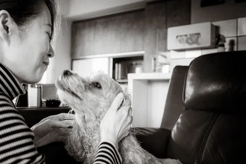 A person gently holds a small shaggy dog facing their cheek in black and white.