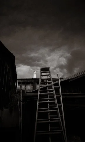A tall ladder rises between dark buildings toward a cloudy sky in black and white.