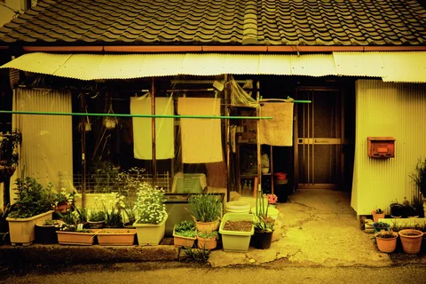 Pale laundry hangs above plant pots outside a yellow-toned house with a tiled roof.
