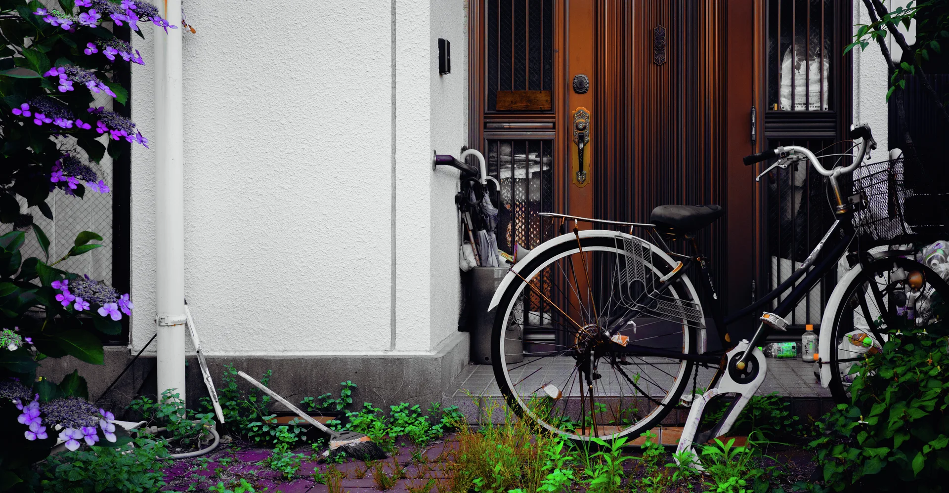 A black bicycle leans beside a wooden front door surrounded by green plants and purple flowers.