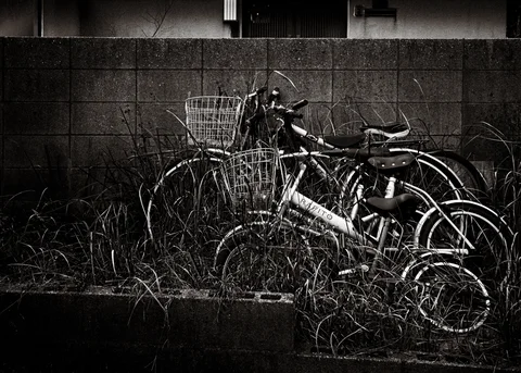 Several bicycles with wire baskets sit engulfed by tall weeds beside a block wall in monochrome.
