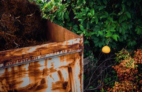 A yellow fruit hangs among glossy green leaves beside a heavily rusted rectangular metal container.