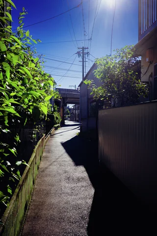 Sunlight falls along a narrow paved passage bordered by leafy hedges and house walls beneath blue sky.