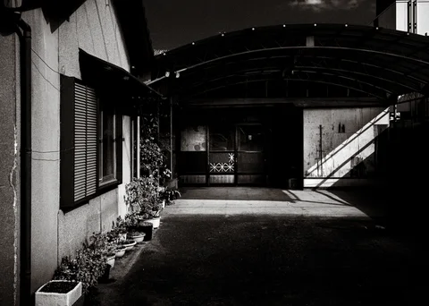 A curved canopy covers a shadowy entrance courtyard lined with small potted plants in black and white.