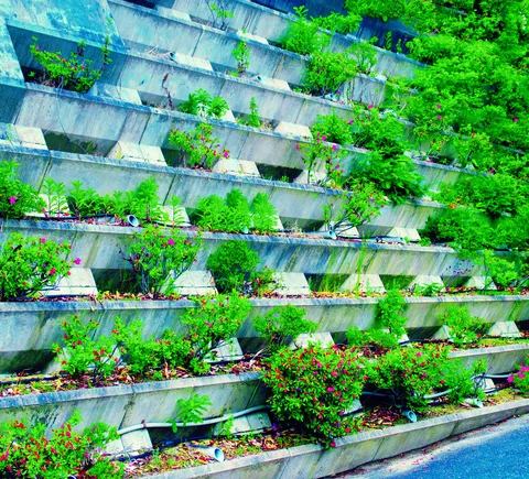 Small shrubs and flowers grow along stacked concrete planting terraces beside a sloping roadside.