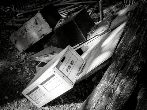 Broken white containers and weathered boards lie beside a tree trunk among debris in black and white.