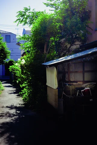 A narrow shaded lane passes an old wooden house surrounded by dense sunlit foliage.