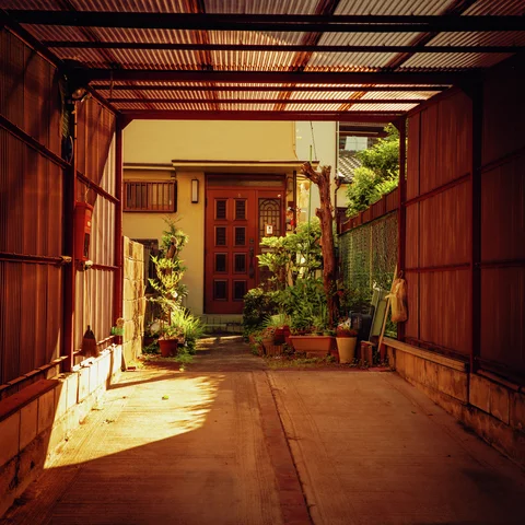 A warm sunlit passage beneath a translucent corrugated roof leads to a plant-filled doorway.