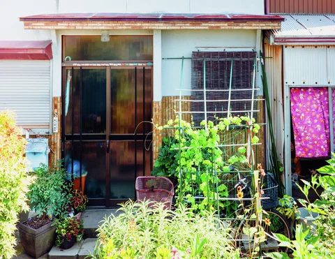 Dense potted greenery and a climbing plant frame partially open sliding doors beneath a rusty metal awning.