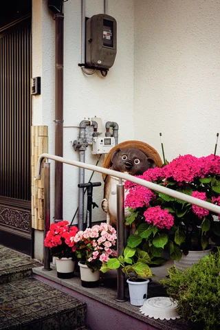 Bright pink and red potted flowers surround a round-eyed animal ornament beside an entrance railing.