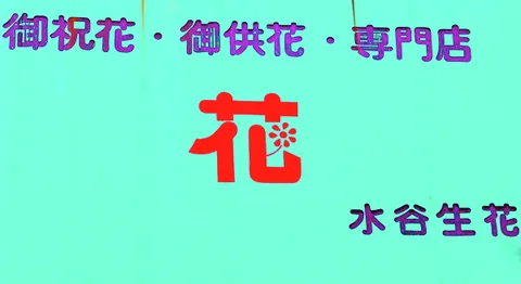 A large red flower-related character and purple lettering decorate a bright turquoise rectangular sign.