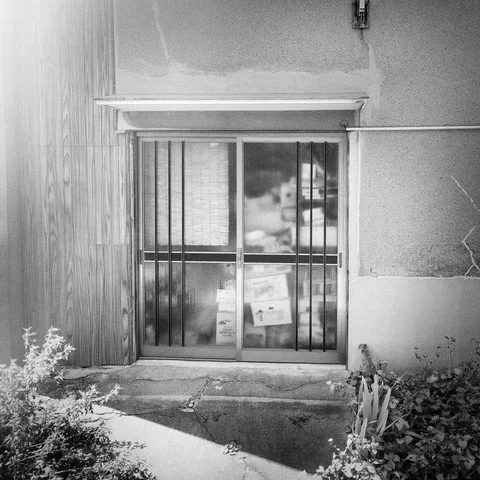 Glass sliding doors sit above rough steps between shrubs beneath a shallow awning in black and white.
