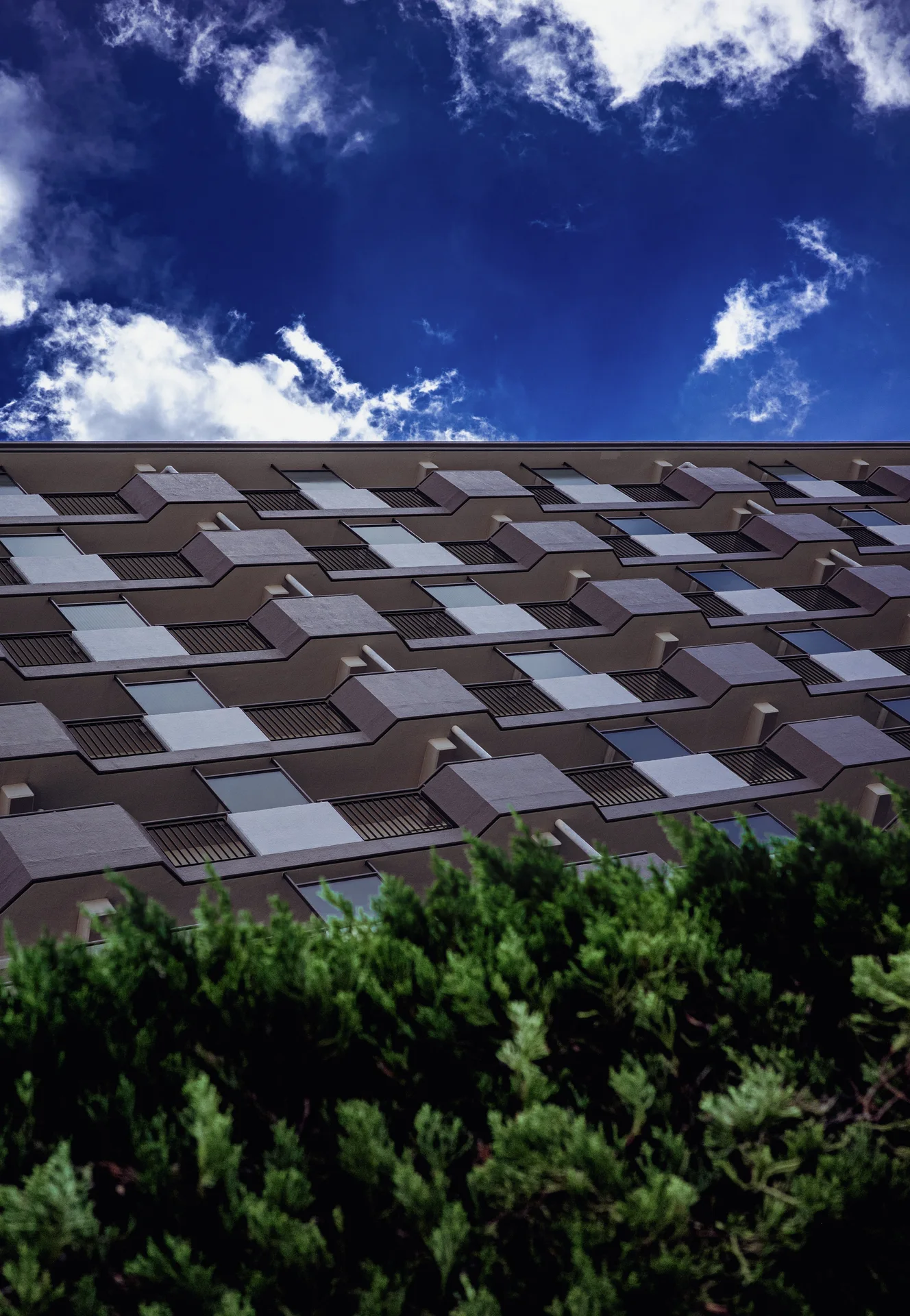 A broad facade patterned with staggered pale rectangles rises above dense shrubs beneath blue sky and white clouds.