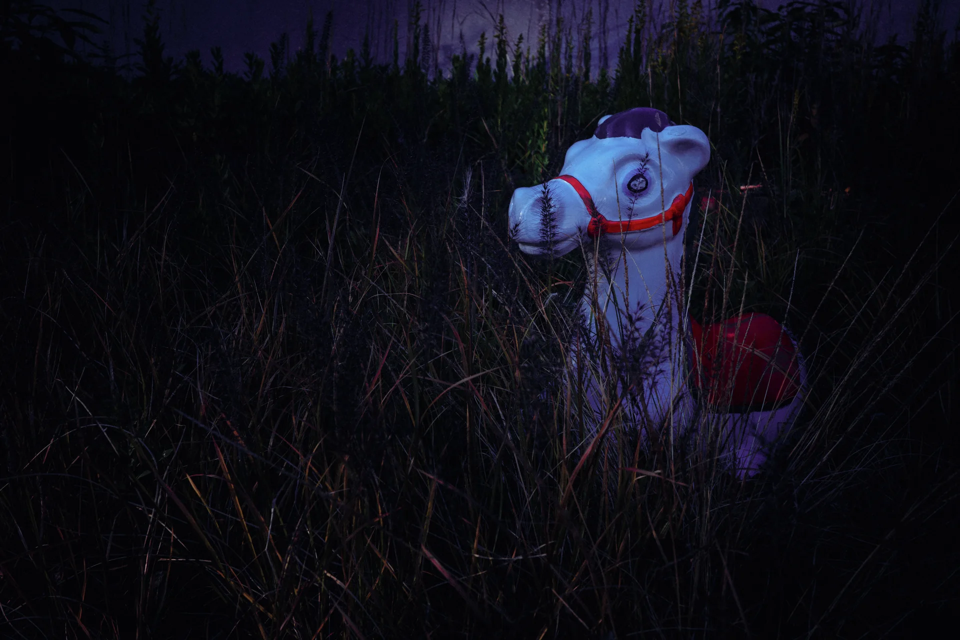 A small white horse figure with a red bridle stands partly hidden in tall dark grass.