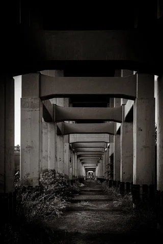 Repeated concrete pillars and overhead beams recede along a weed-lined passage in black and white.