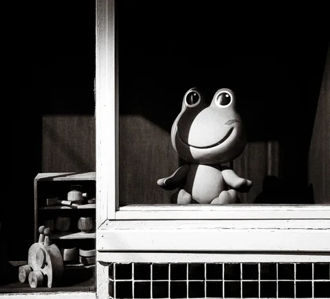 A smiling frog figurine sits behind a glass window beside small ornaments in black and white.