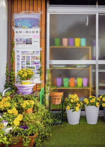 Yellow flowers in white pots cluster outside sliding glass doors backed by brightly colored containers.