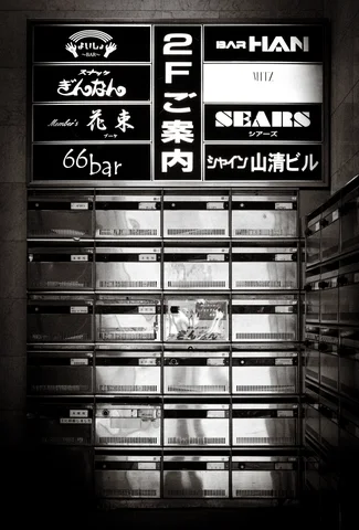 A tall building directory of dark signs and reflective nameplates fills a shadowed monochrome entrance.