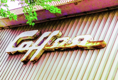 Weathered raised Coffee script sits diagonally across corrugated metal siding beneath overhanging green leaves.
