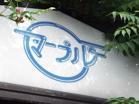 Blue outlined Japanese lettering sits inside a circle on a pale sign partly covered by leafy branches.