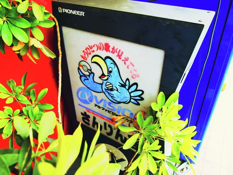 A cartoon blue bird decorates a framed sign partly surrounded by bright green leaves.