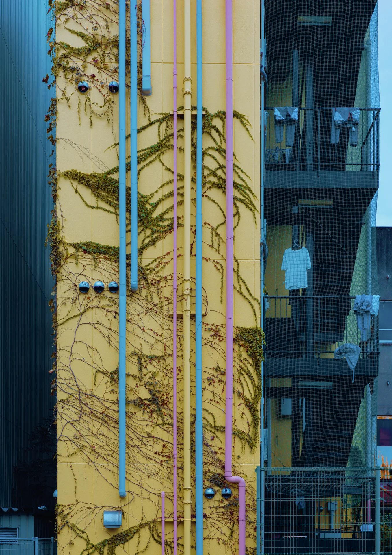 Bright vertical pipes run along a vine-covered yellow wall beside dark recessed balconies.
