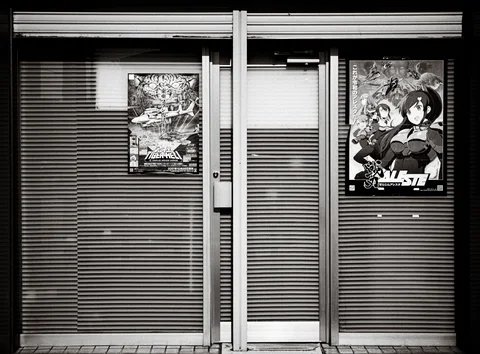 Illustrated posters hang on closed ribbed shutters beside a narrow pale door in black and white.